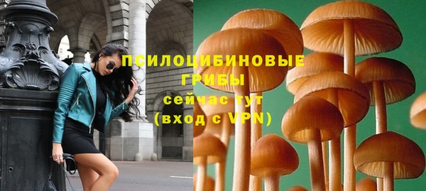 твердый Балабаново